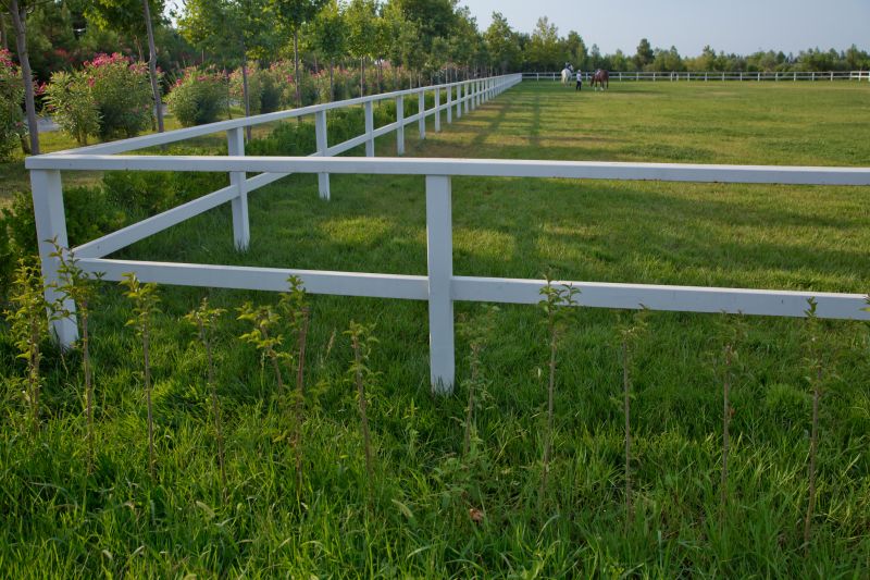 Horse Fence Replacement in Sacramento, CA