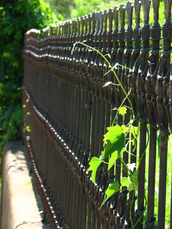 Victorian Fence Installation in Alpharetta, GA